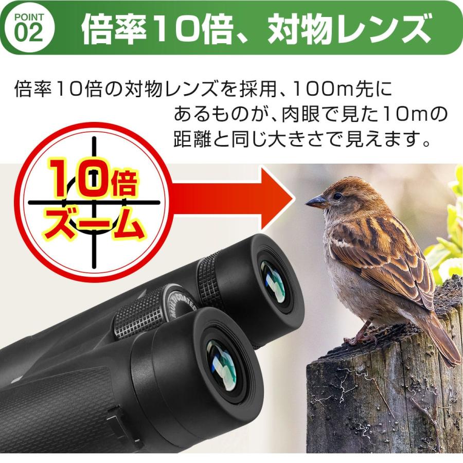 双眼鏡 倍率 10倍 42mm 対物レンズ スマートフォン スマホ 撮影 録画