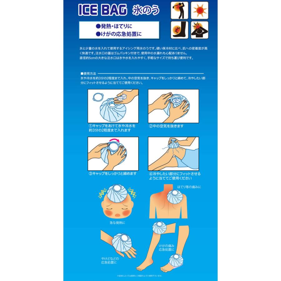 アイスバッグ アイシング バッグ 1500ml 氷嚢 氷のう : 防犯カメラ