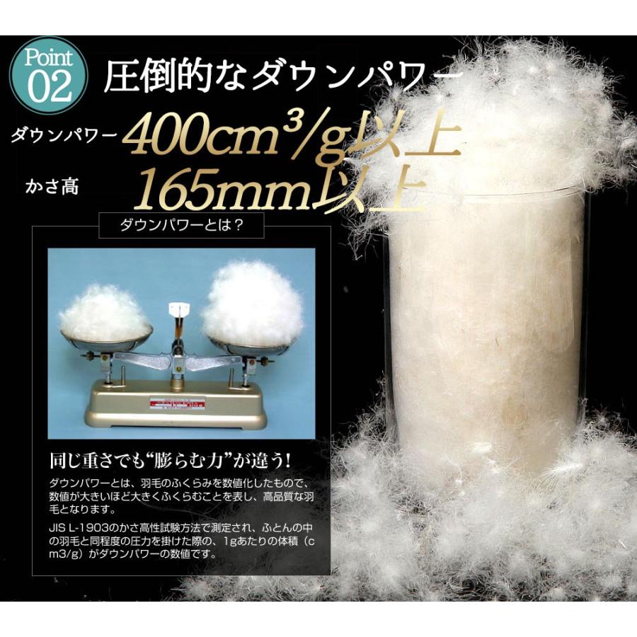 〈新品・未使用〉100%羽毛国産掛け布団 シングル 抗菌・防臭 洗える布団 洗える布団 掛け布団 シングル 日本製 セベリスα 抗菌防臭