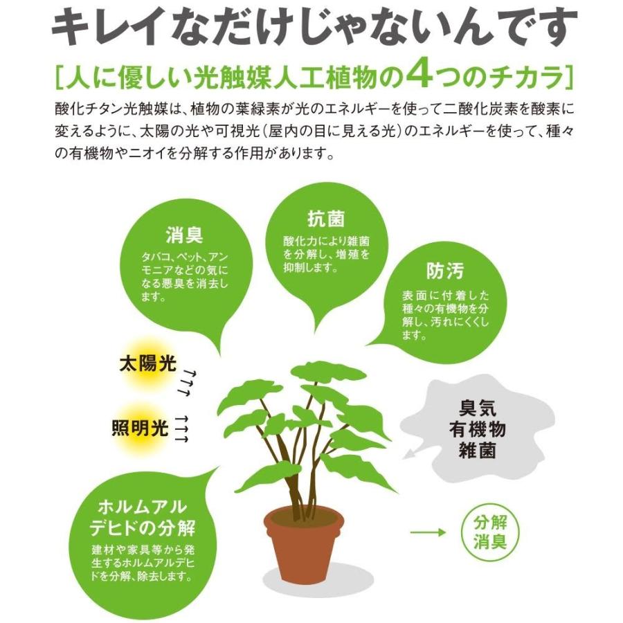 造花 観葉植物 「アレカパーム 170cm」 光触媒(空気浄化) インテリア・グリーン 光の楽園｜goodfellow｜05