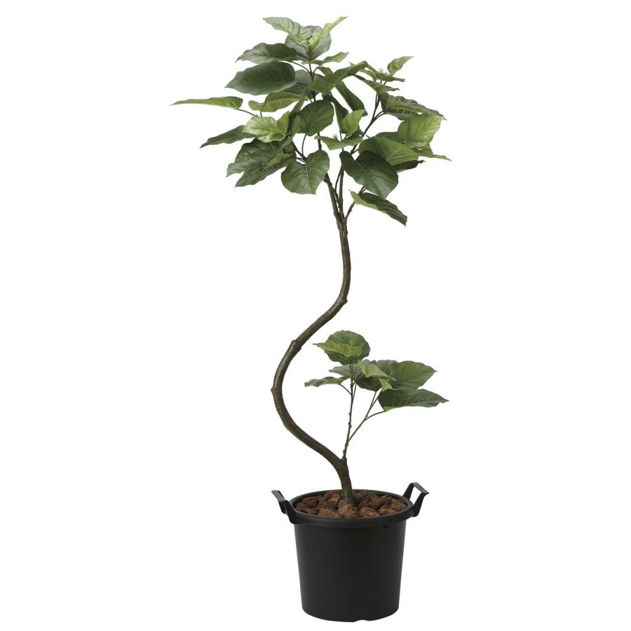 造花 観葉植物 インテリア ウンベラータ 165cm 光触媒 空気清浄 インテリア グリーン 47 26 造花のグリーンアート ヤフー店 通販 Yahoo ショッピング