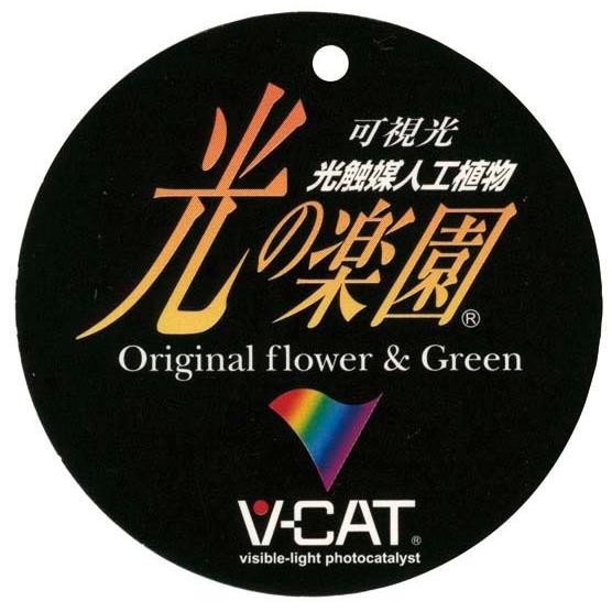 造花 アートフラワー 胡蝶蘭アレンジ「 プレミア胡蝶蘭-10本立W ホワイト(リップ薄黄)  」 光触媒(空気清浄) インテリア植物 あすつく 送料無料の画像
