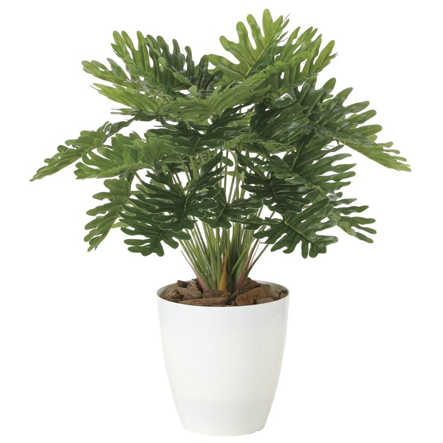 海外 フレッシュ クッカバラm 造花 観葉植物 光触媒 空気浄化 インテリア グリーン 59