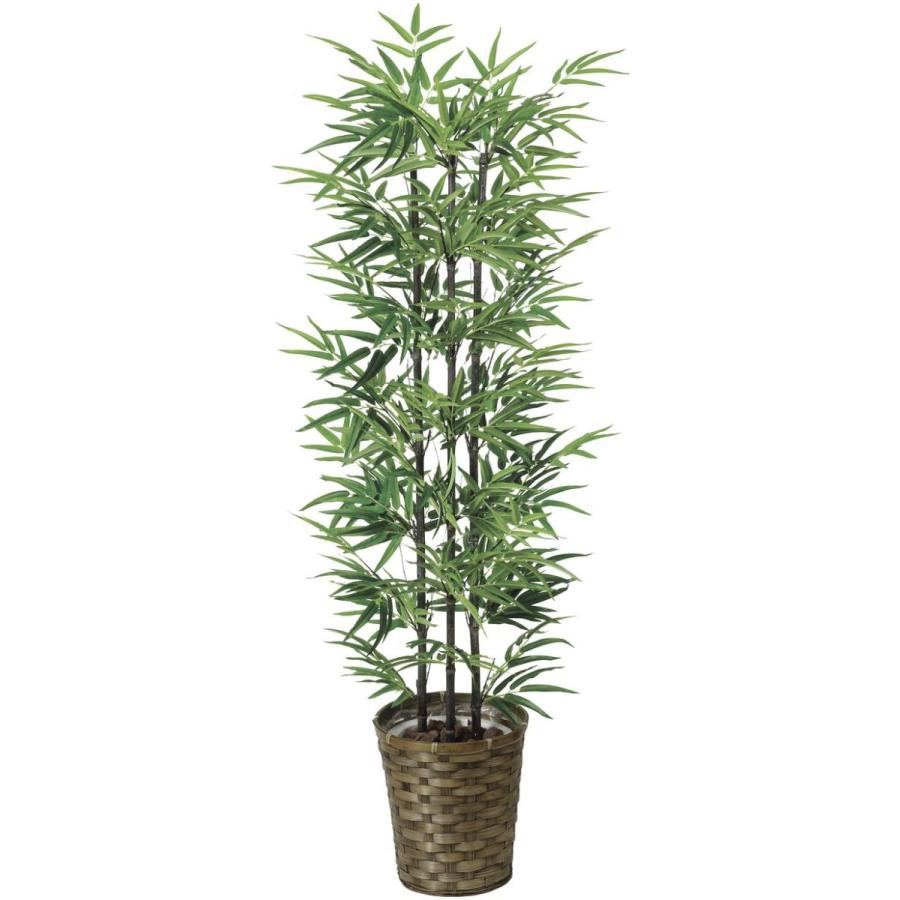 光触媒 造花 観葉植物 インテリアグリーン 鉢植え 黒竹135cm 幹 天然黒竹 鉢カバー 178a 2a4306 造花のグリーンアート ヤフー店 通販 Yahoo ショッピング