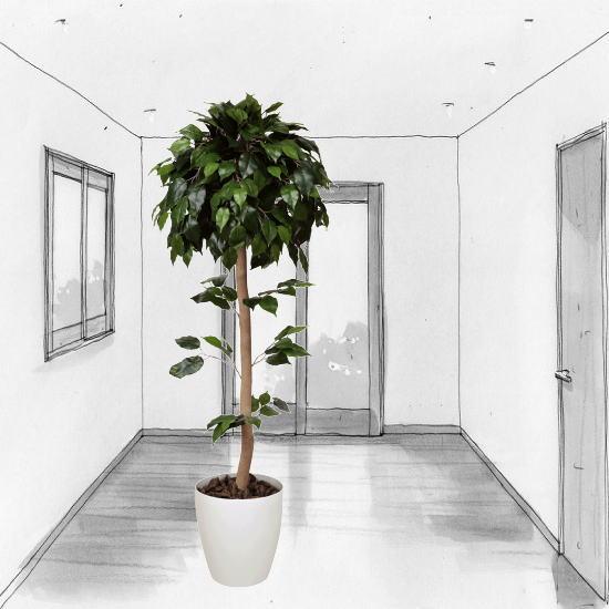 売り切れ必至 光触媒 観葉植物 鉢植え インテリアグリーン 造花 ベンジャミントピアリー1cm 372b メール便なら送料無料 Www Maxipiso Com Ar