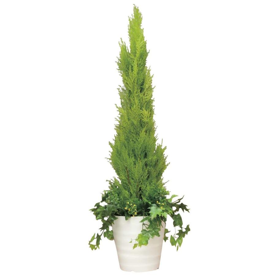 造花 観葉植物 ゴールドクレスト 植栽付き 140cm ポリ製 インテリア グリーン 68 394 造花のグリーンアート ヤフー店 通販 Yahoo ショッピング