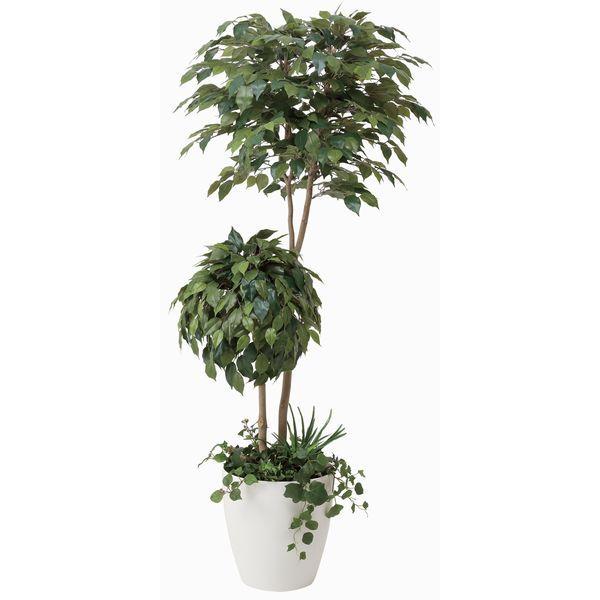 安心の定価販売 造花 観葉植物 光触媒 インテリアグリーン 鉢植え ベンジャミンw フェイス 180cm 楽天 Www Maxipiso Com Ar