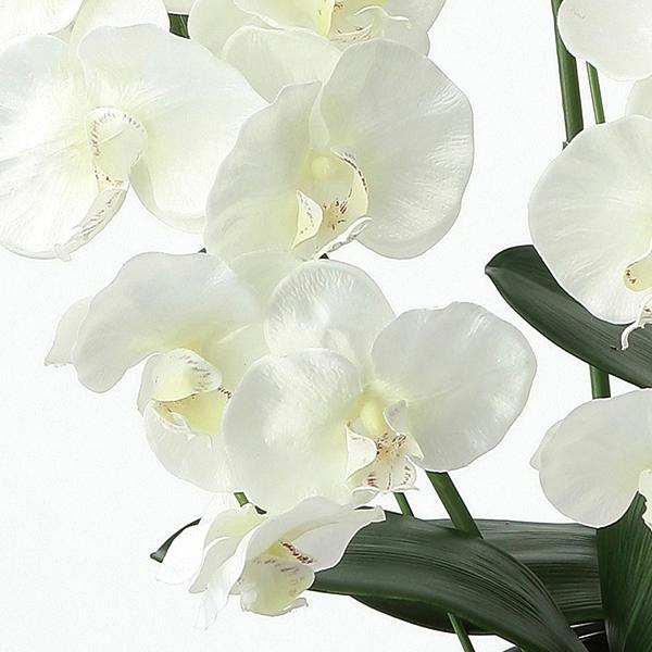 造花 アートフラワー 胡蝶蘭アレンジ「 プレミア胡蝶蘭-5本立W ホワイト(リップ薄黄) 」 光触媒(空気清浄) インテリア植物 あすつく 送料無料_1