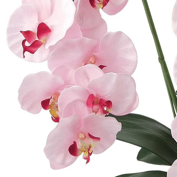 造花 アートフラワー 胡蝶蘭「 プレミア胡蝶蘭-5本立P パープル 」 光触媒(空気清浄) インテリア植物 あすつく 送料無料 ギフト/プレゼント母の日_1
