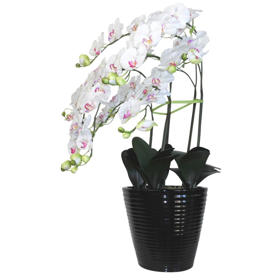造花の胡蝶蘭 トラッド鉢植 L(大)サイズ-5本立 /白(リップ薄赤) 光触媒 空気清浄 アートフラワーの画像