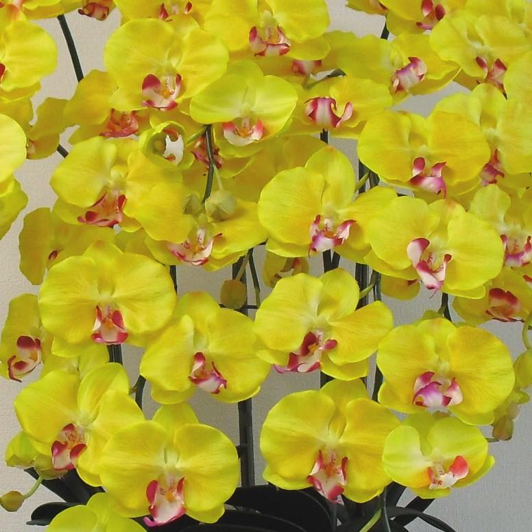 造花の胡蝶蘭 トラッド鉢植 L(大)サイズ-5本立 /黄色 光触媒 空気清浄 アートフラワーの画像