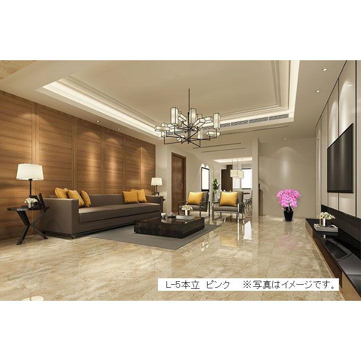造花の胡蝶蘭 トラッド鉢植 L(大)サイズ-5本立 /黄色 光触媒 空気清浄 アートフラワーの画像