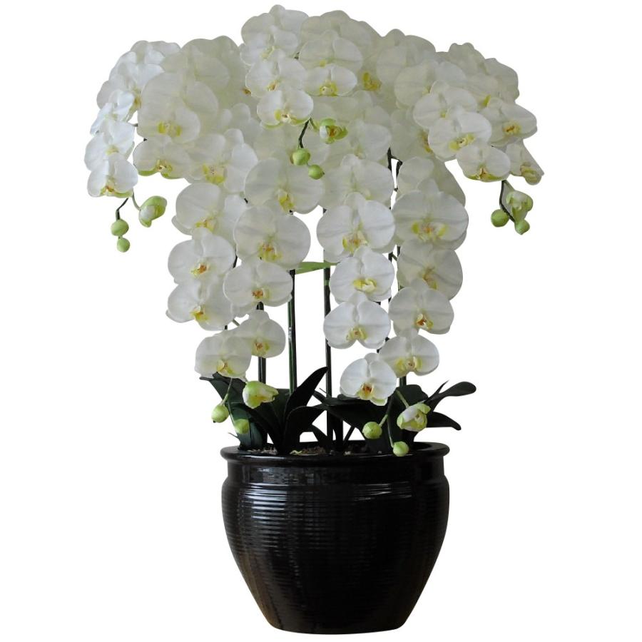 超大特価 胡蝶蘭 鉢植 Ll 特大 サイズ 5本立 白 リップ 黄 造花 光触媒 空気清浄 アートフラワー 超人気の Zoetalentsolutions Com