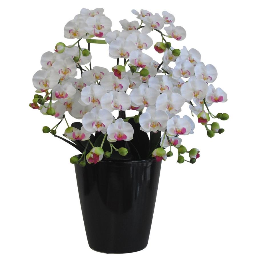 Rakuten 胡蝶蘭 鉢植 S 普通 サイズ 7本立 白 リップ 薄赤 黒鉢 造花 光触媒 空気清浄 アートフラワー 楽天市場 Technet 21 Org