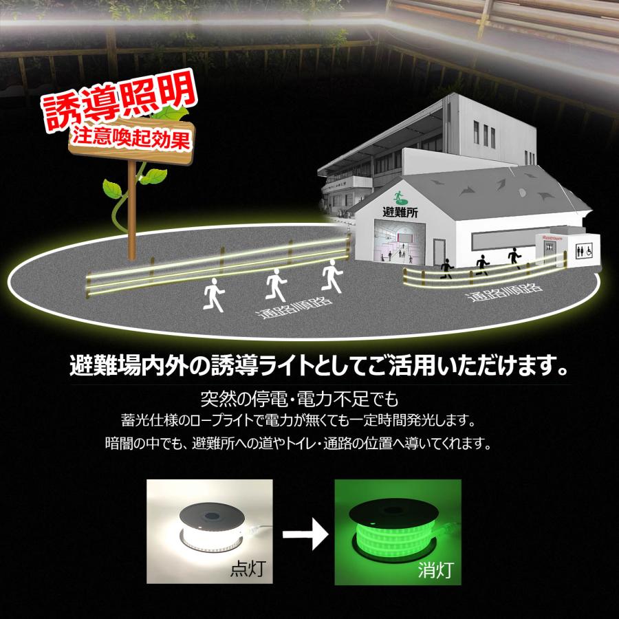 GOODGOODS（グッド・グッズ） 10m LED ロープライト 両面発光 14000LM