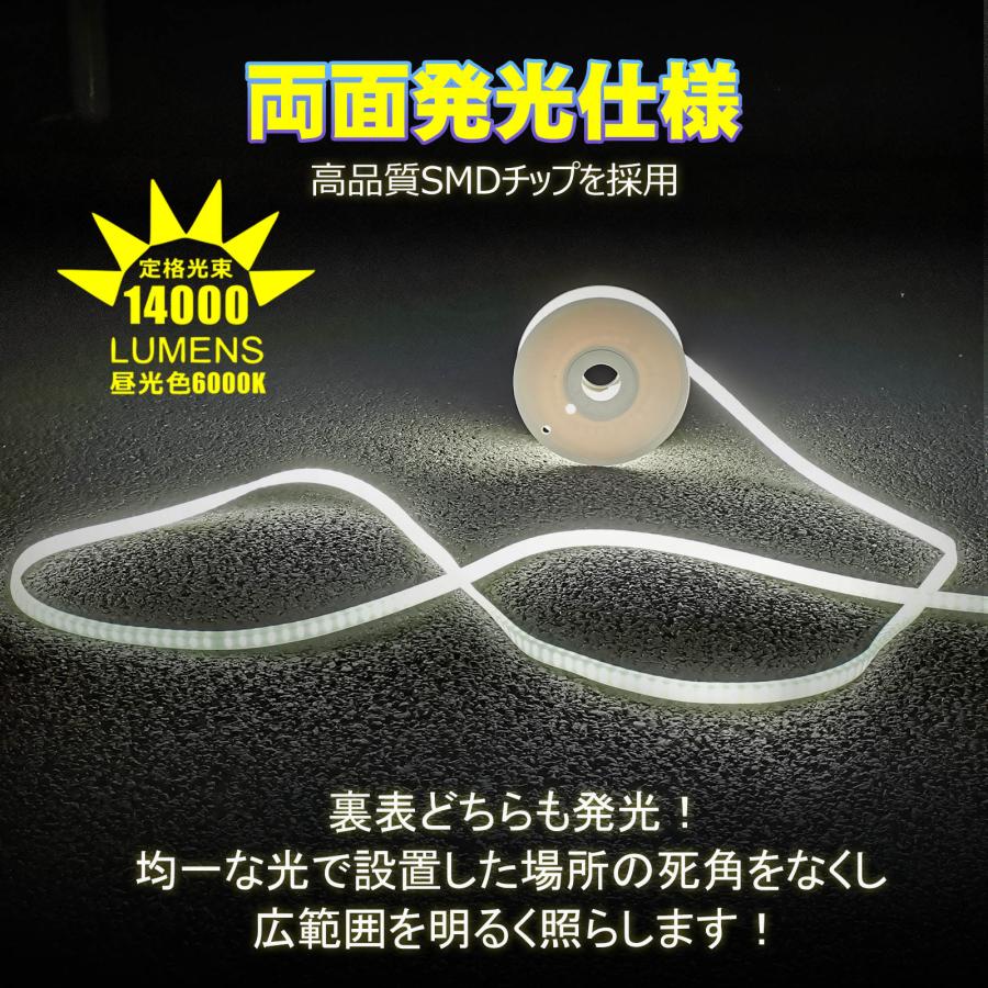 GOODGOODS（グッド・グッズ） 10m LED ロープライト 両面発光 14000LM