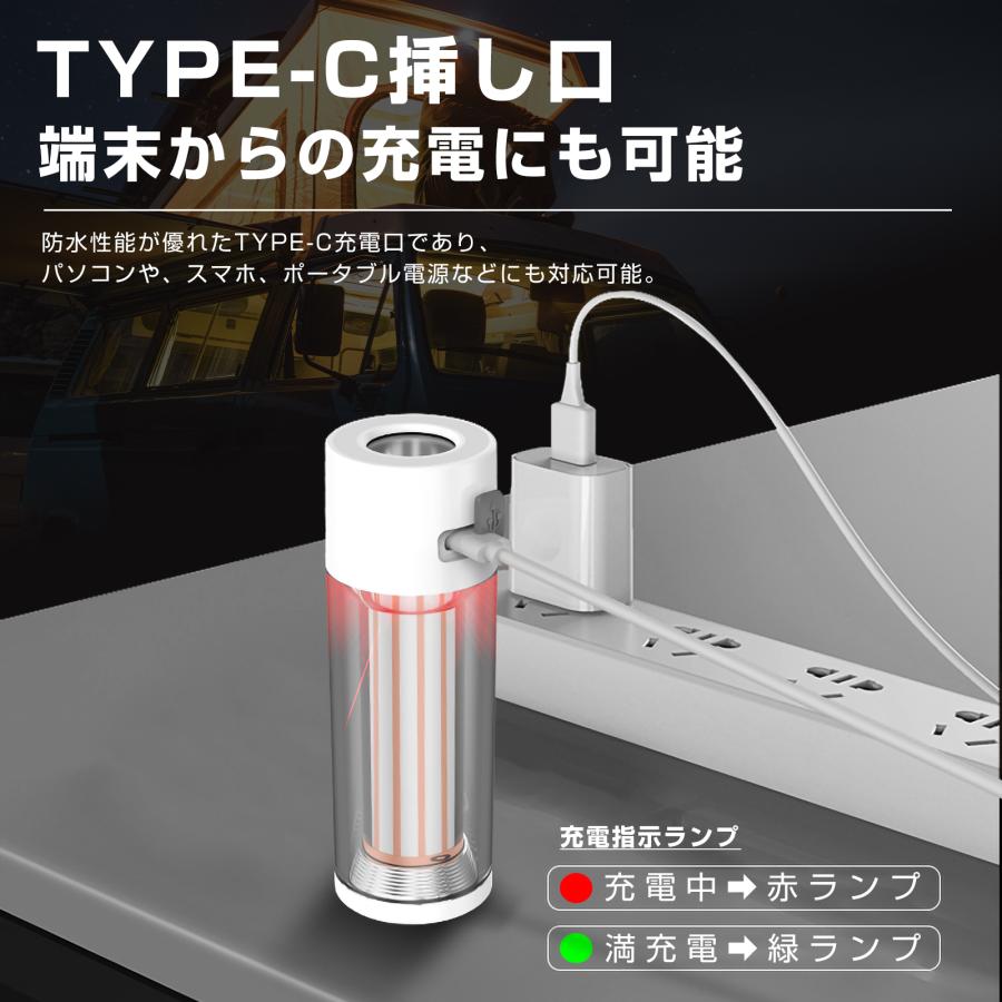 ソーラーパネル ランタン セット LEDライト 30W 充電器 防災 小型 