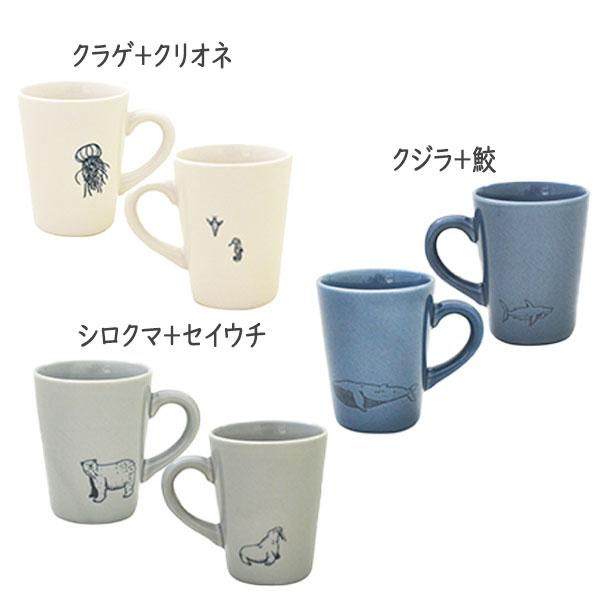 送料無料：北海道・沖縄・離島は別途送料＋660円】 KAKUNI (カクニ