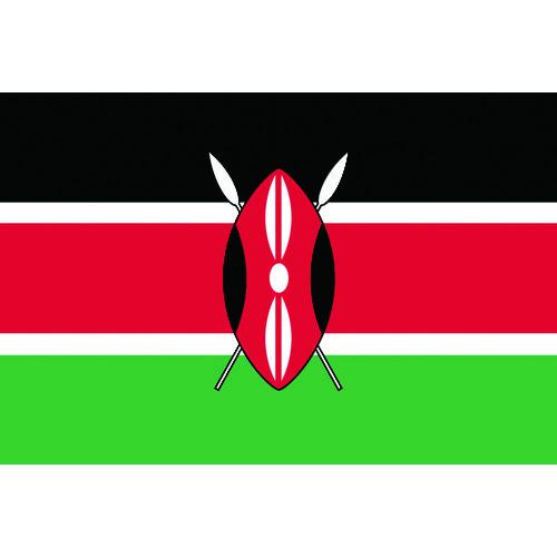 【限定品】 東京製旗　国旗Ｎｏ．２（９０×１３５ｃｍ）　ケニア  『426261』 その他DIY、業務、産業用品