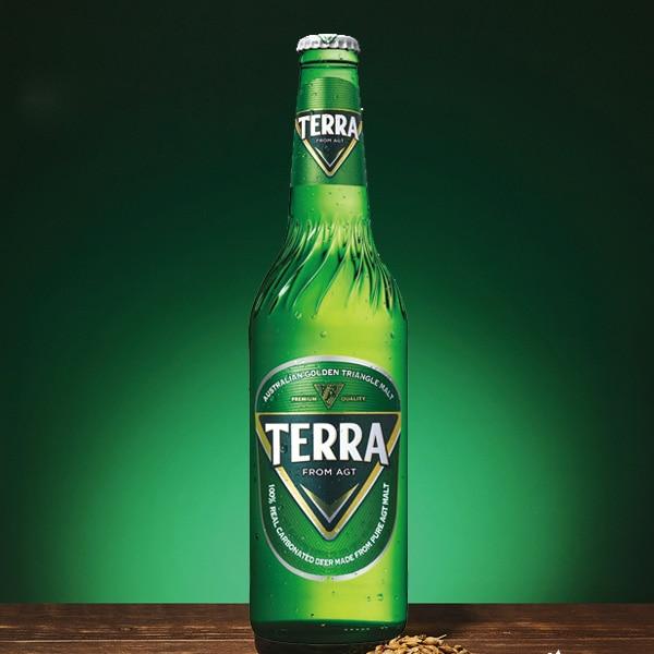 JINRO（眞露） テラビール 瓶ビール 正規品 / 1BOX(500ml×12本) TERRA