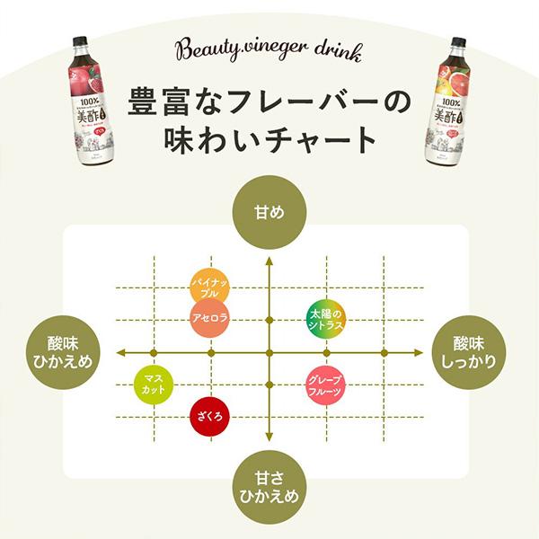 ミチョ　美酢　9本セット 美酢 【公式数量限定アウトレット】 美酢選べる6本セット 900ml