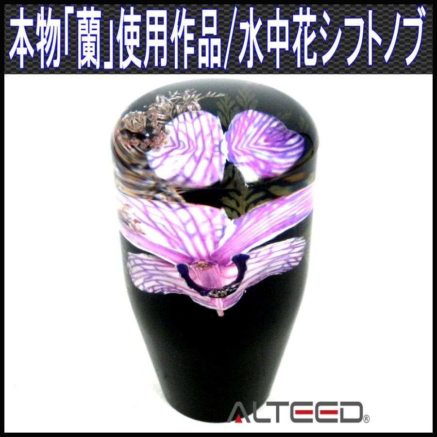 水中花シフトノブ 本物蘭 生花作品 90mm 9cm MT車 紫色 : ps90purple : オートランドTOKYO - 通販 -  Yahoo!ショッピング