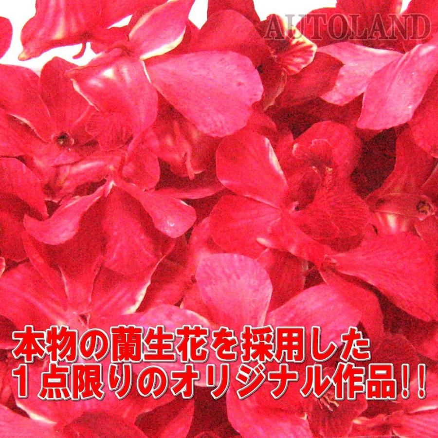 水中花シフトノブ 本物蘭 生花作品 90mm 9cm 赤色｜goodlife｜05