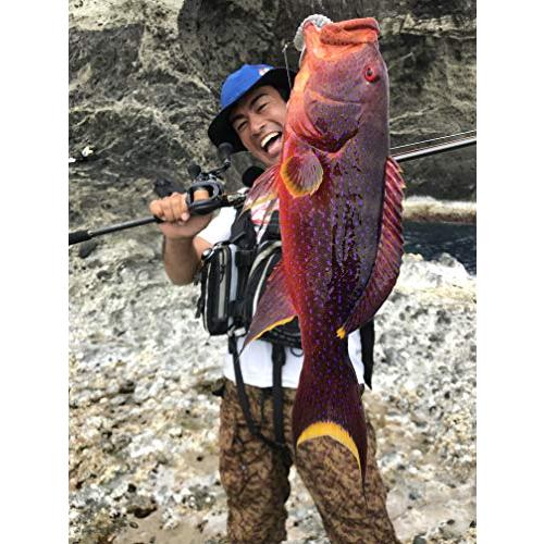 アブガルシア (エラディケーター ロックスウィーパー) ERSC-80EXH 楽天市場】アブガルシア(Abu Garcia) Eradicator Rocksweeper
