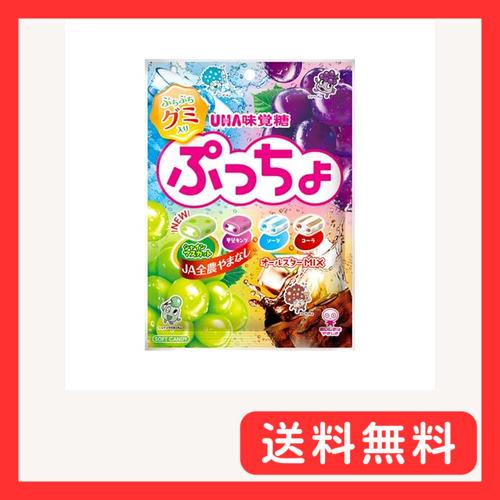 UHA味覚糖 ぷっちょ袋 4種アソート 88g×6袋 : グッドライフメディア