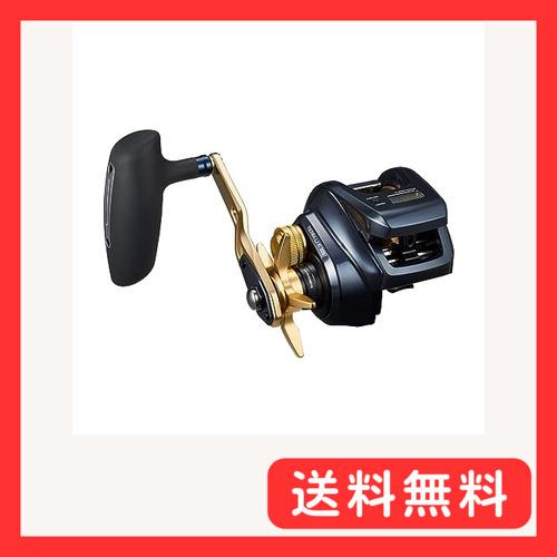 ダイワ(DAIWA) カウンター付きベイトリール TIERRA LJ IC300H : グッド 