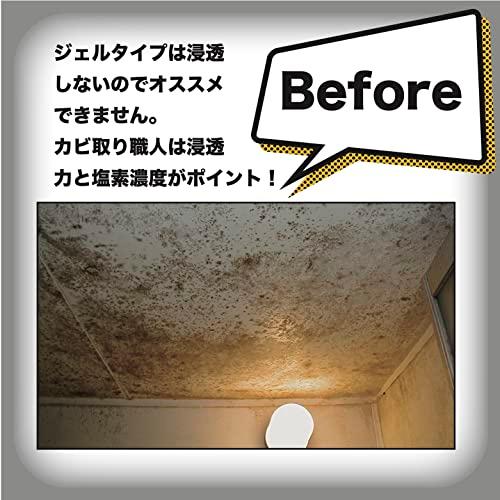 技・職人魂 超強力! なのに低塩素臭! プロのカビ取りをご家庭で試せる! カビ取り職人! |  | 02