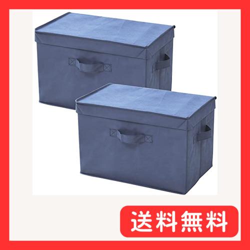 山善(YAMAZEN) ふた付き 収納ボックス 2個組 カラーボックス対応