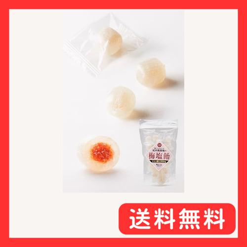 梅塩飴 紀州南高梅 クエン酸3300mg 着色料不使用 塩飴 個包装 熱中症