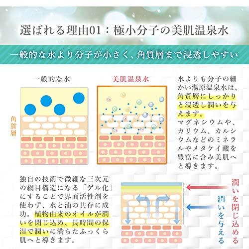 ナチュレルSPゲルクリームシリーズ エコツインセット(550g×2本入り) 