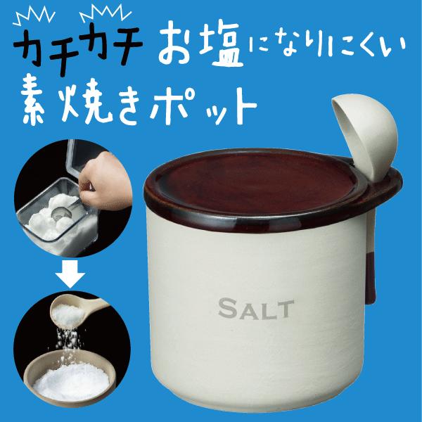 廃番完売　「湿気」から守る SALT ソルトポット 300ml （スプーン付） 湿気防止 素焼き 調味料入れ 保存容器 3952｜goodlifeshop