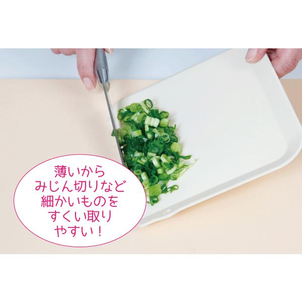 日本製 ちょこっと使いが便利 プチまな板 3枚セット 使い分け 抗菌 