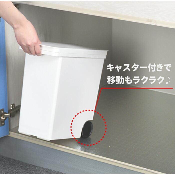 パール金属 日本製 袋のまま収納できるカラフルな米びつ 袋のまま収納