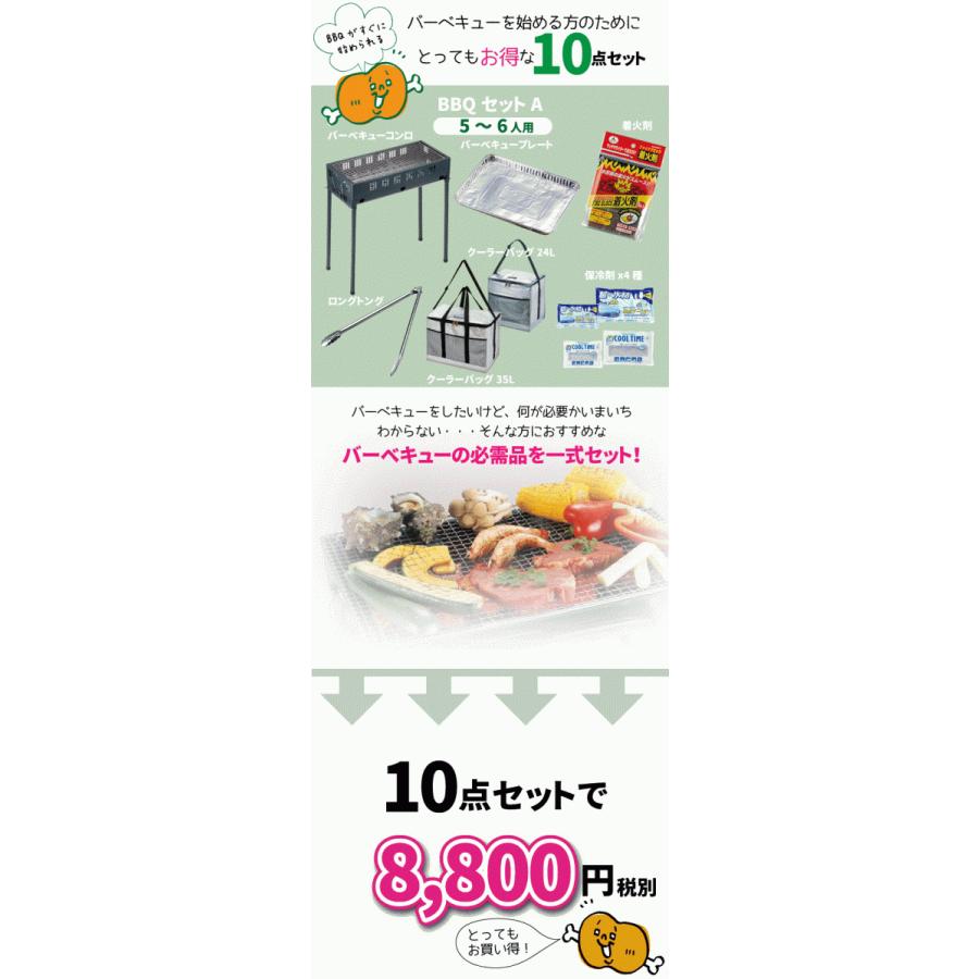 CAPTAIN STAG（キャプテンスタッグ） まとめてお得!! BBQセット A (5~6
