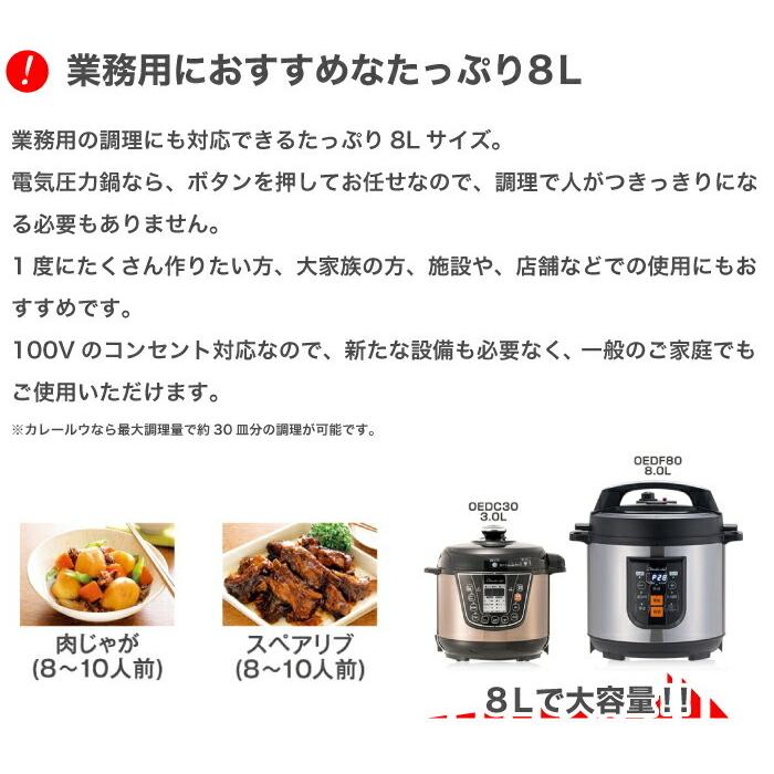ワンダーシェフ 大型 電気圧力鍋 8L 専用レシピ付 セット プロ ワンダーシェフ 大型 電気圧力鍋 8L 専用レシピ付 セット プロ