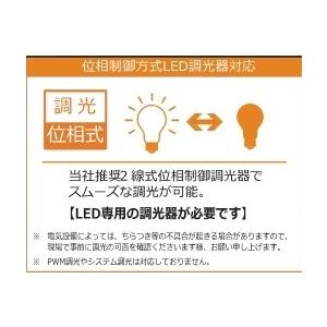 CWJDR7W50K22DE11 ハロゲン70W形 70W相当 口金E11 昼白色 調光器対応 |  | 01