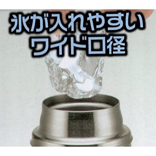 スケーター 直飲み ステンレス 水筒 580ml JFA(侍ブルー) SDC6N