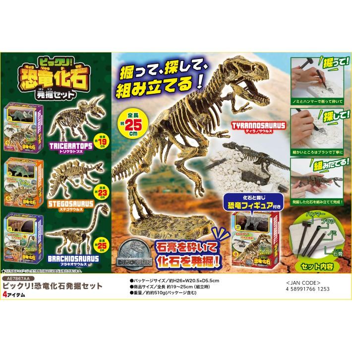 ビックリ！ 恐竜 化石 発掘 セット ダイナソー 子供用 おもちゃ きょう