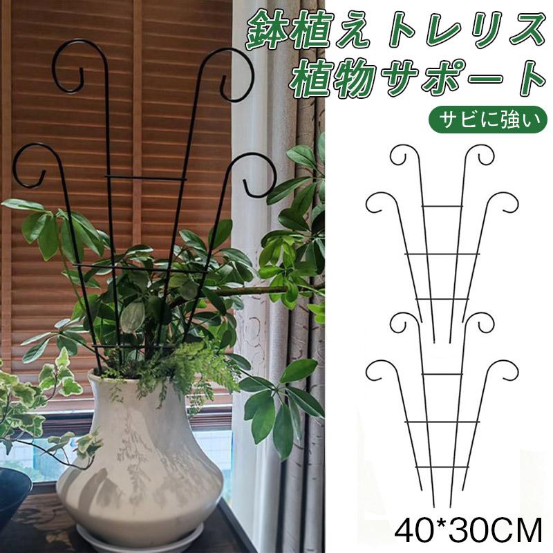 2点目半額OFF！鉢植えトレリス つる性植物用ガーデントレリス 植物