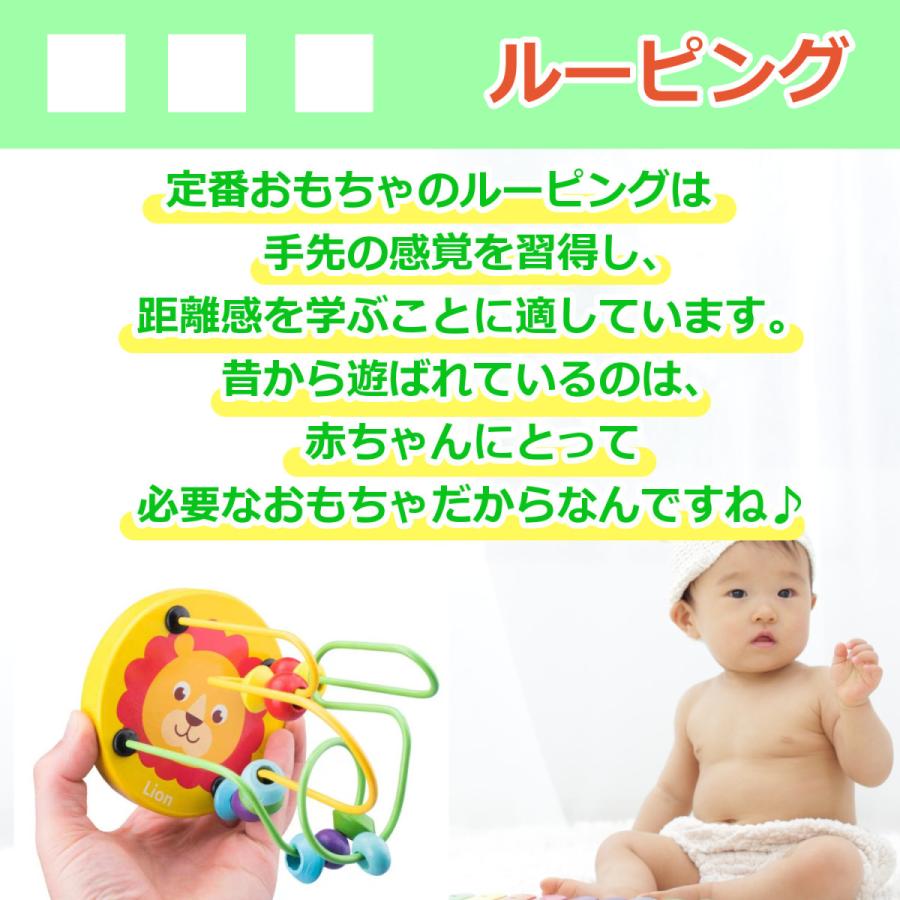 知育玩具 3点セット 知育 赤ちゃん おもちゃ ルーピング 型はめパズル Snp013 Henrysmark 通販 Yahoo ショッピング