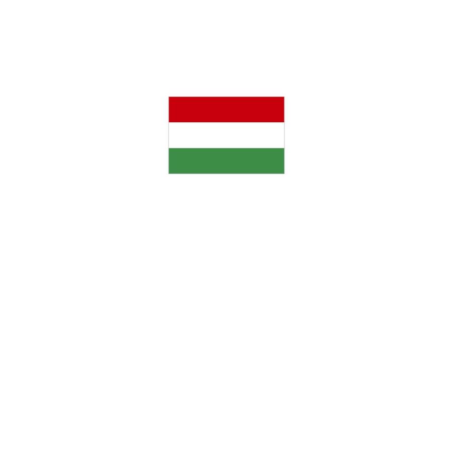 Tシャツ ハンガリー 国旗 00px のぼり旗 グッズプロ 通販 Yahoo ショッピング