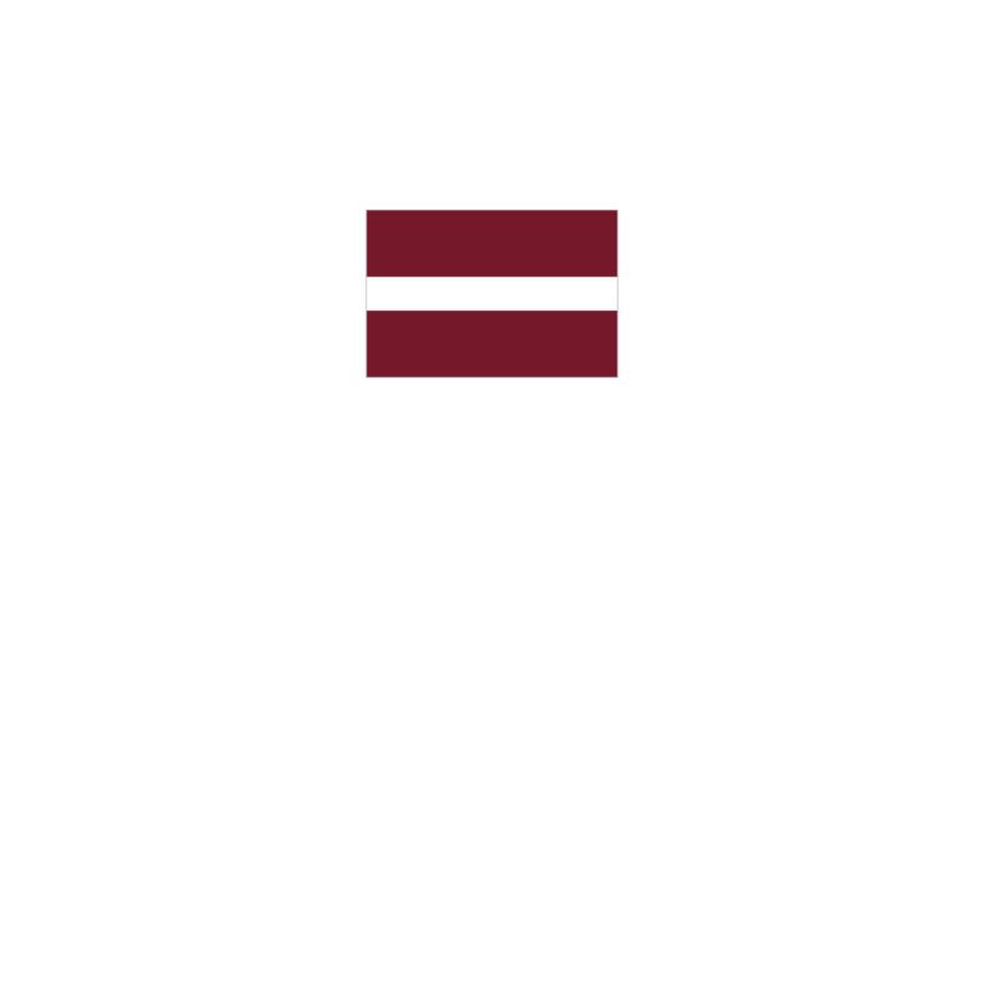 Tシャツ ラトビア共和国 国旗｜goods-pro｜02