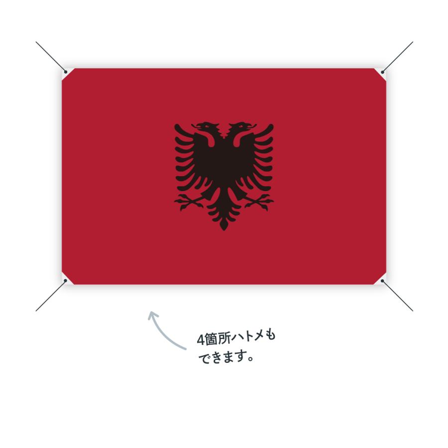 アルバニア共和国 国旗 W150cm H100cm : のぼり旗 グッズプロ - 通販