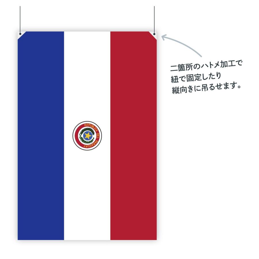 大特価 世界の国旗 万国旗 パラグアイ 70 105cm Fucoa Cl