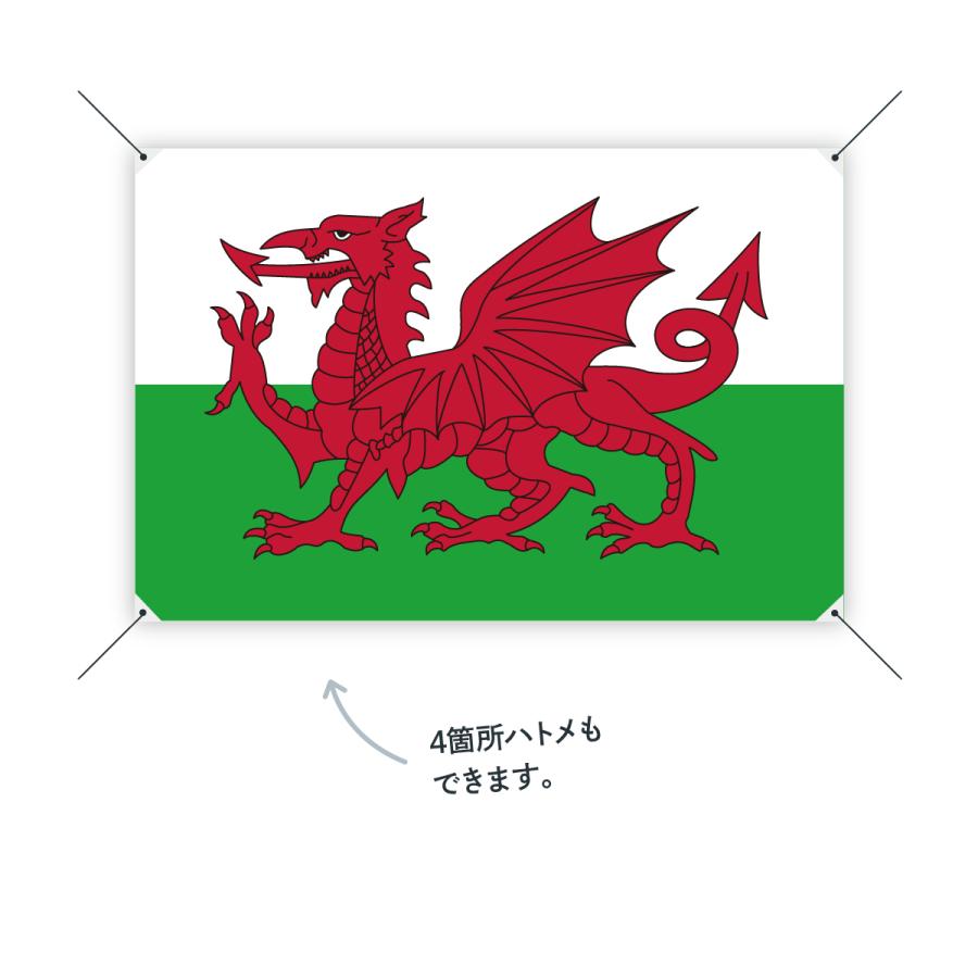 ウェールズ 国旗 W75cm H50cm｜goods-pro｜04
