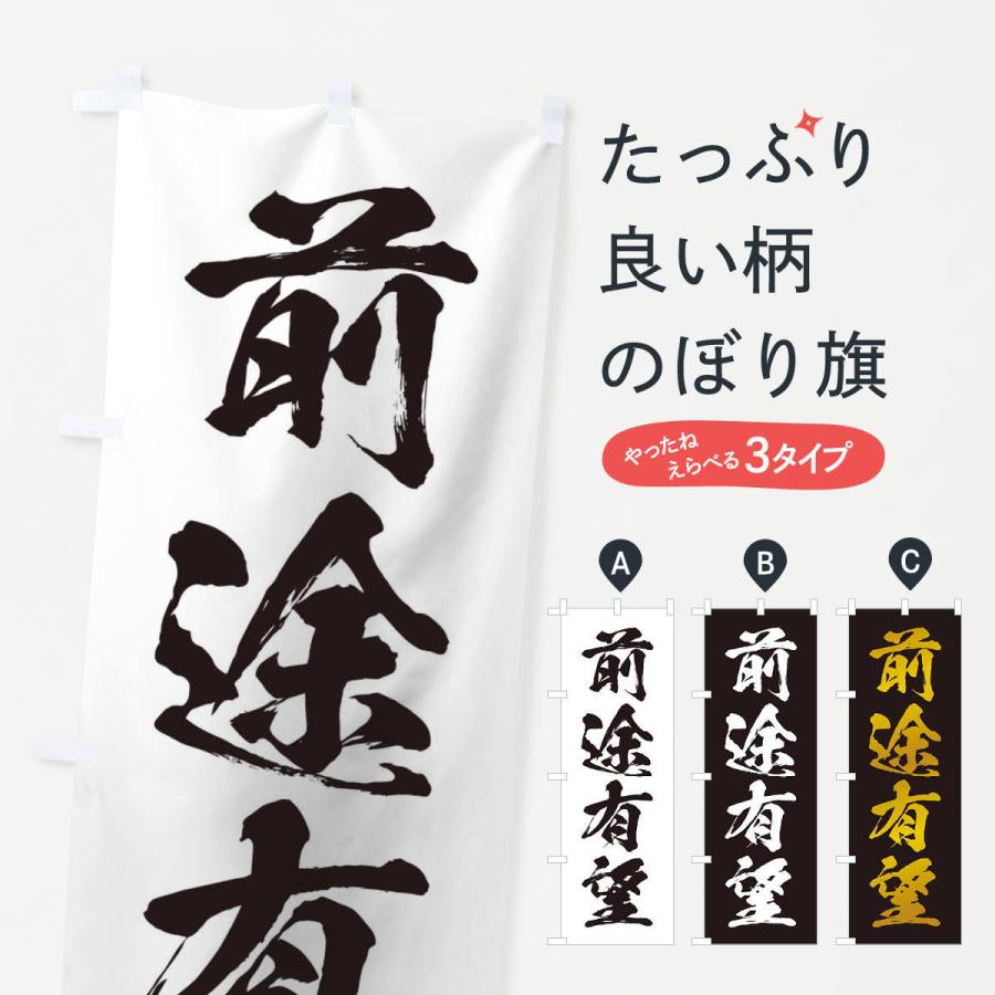 のぼり旗 四字熟語 前途有望 21x9 のぼり旗 グッズプロ 通販 Yahoo ショッピング